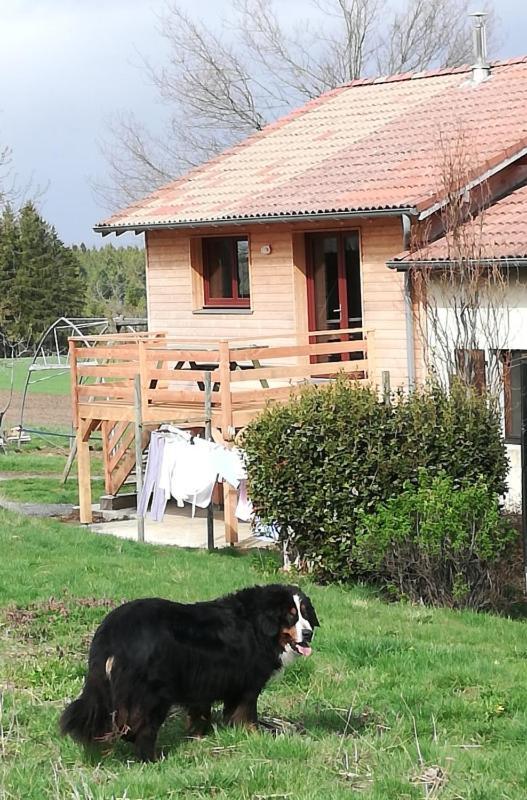 Gite La Ferme De Baffour La Chaise-Dieu Exterior foto